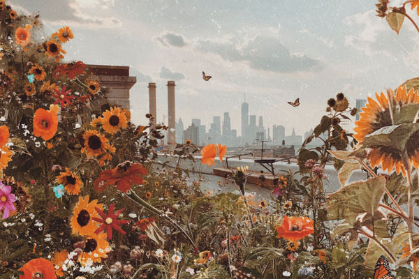 Flowers and Nature in Urban Photography Prints by Siobhan O’Dwyer