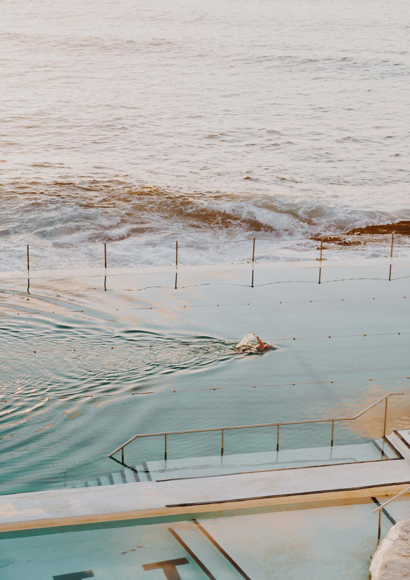 Sunrise Swim at Icebergs III  (Edition)