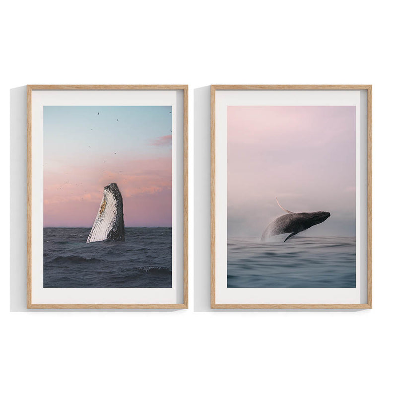 Tweed Whale (Set of 2) Mini - A4 (Set of 2) / Print Only