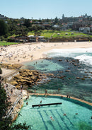 Bright Bronte