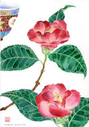 Camellias and Teacup (Mini - A4 / Print Only)