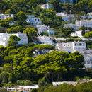 All of Capri