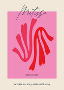 Matisse Pink