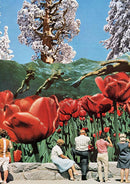 Swimming with Tulips (Medium - A2 / Print Only)