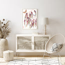 Eucalyptus and Gum Emperor Moth