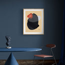 Dark and Light Shapes