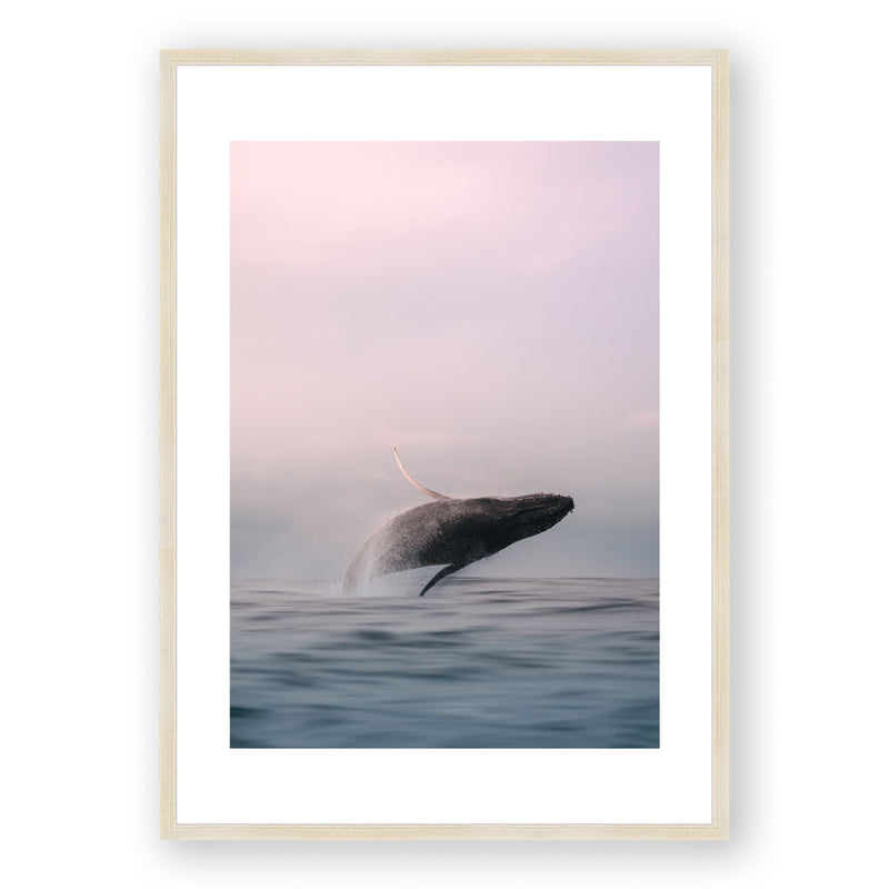 Tweed Whale (Set of 2)