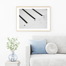 Icebergs Cleaning Day