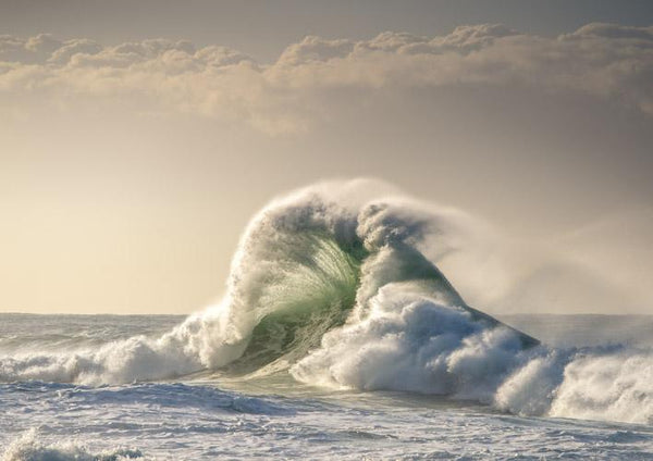 Backwash Light