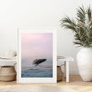 Tweed Whale Breacher