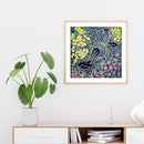 Bush Tucker and Medicines