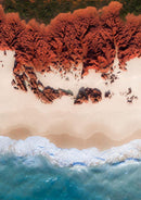 James Price Point II