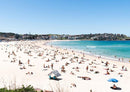Bondi Summer