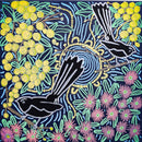 Bush Tucker and Medicines