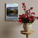 Mornings in Lake Bled