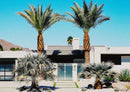 Palm Springs Modern